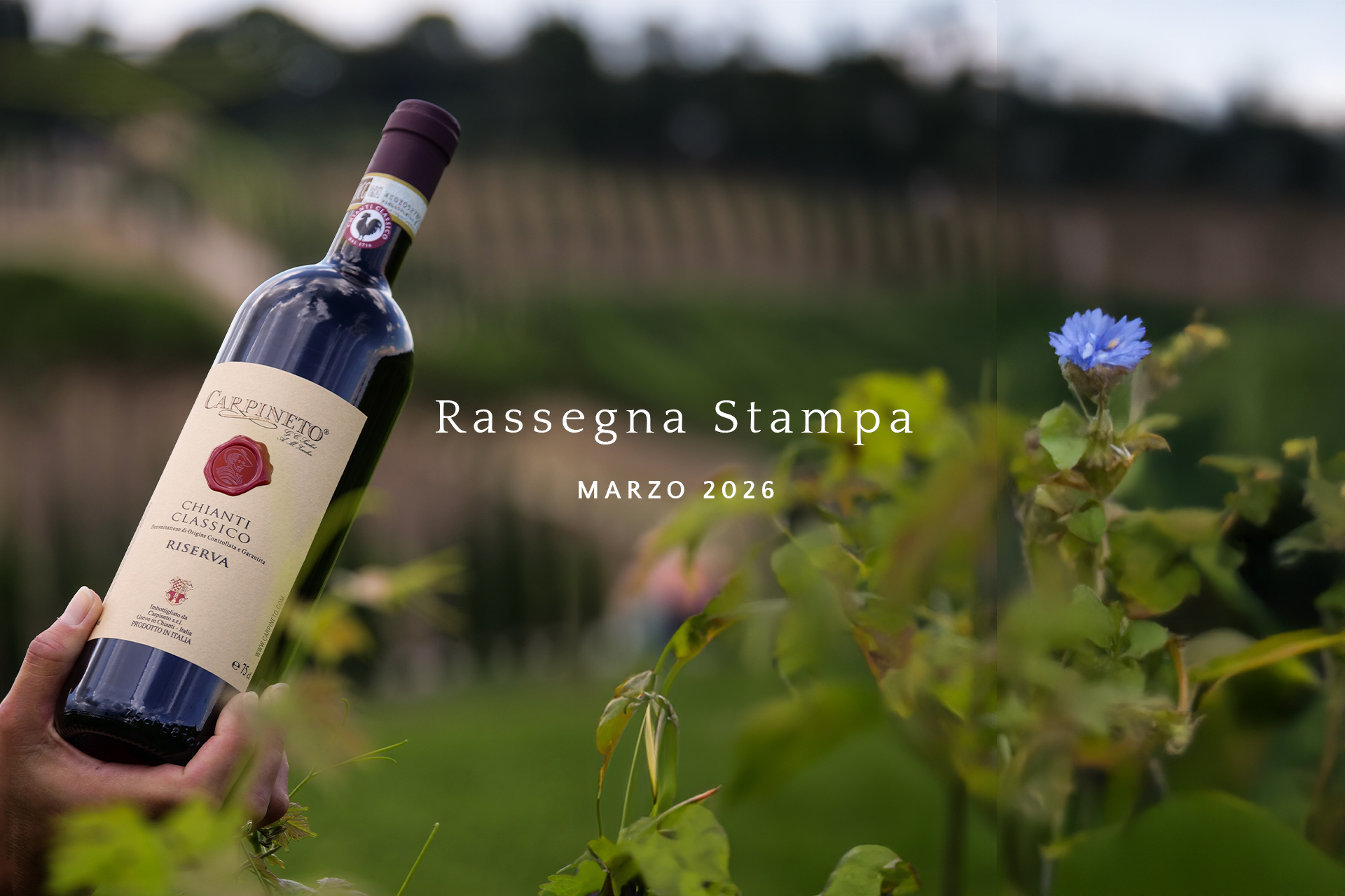 La rassegna stampa di marzo 2026 | Carpineto
